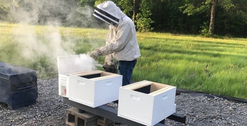 Benton Pollinator Project