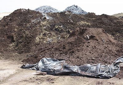 Contaminated Soil Treatment