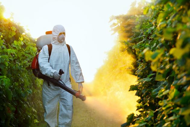 Spraying Plants White Safety Suit