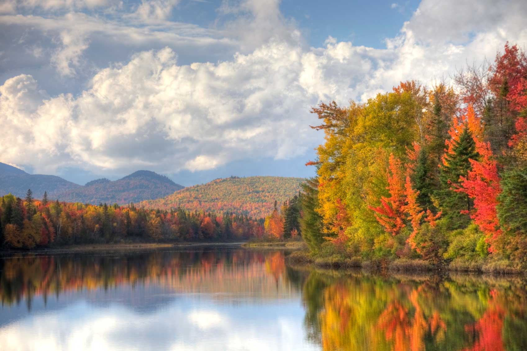 Fall Trees Lake Picture